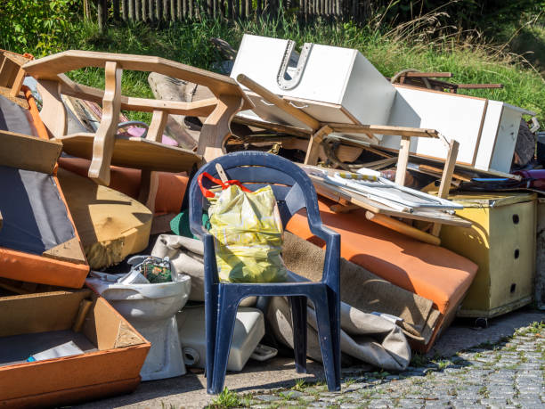 Best Electronics Removal Services  in Gaylord, MN